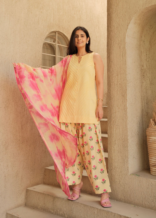 Zard Shabnam