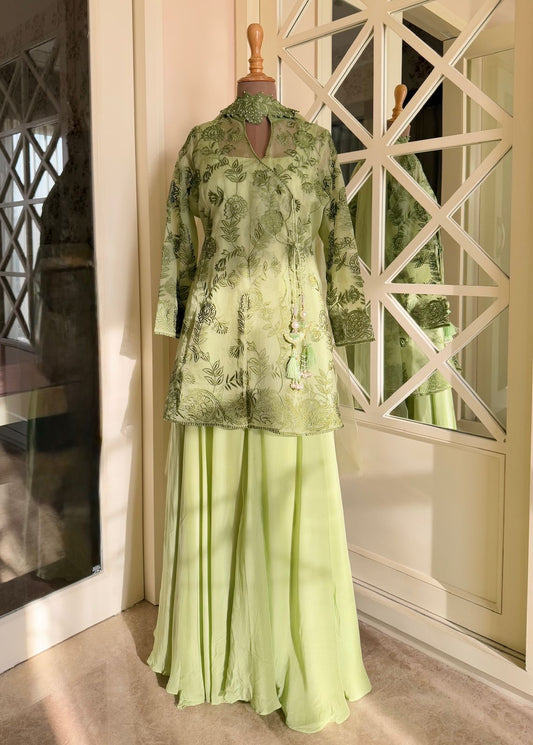 Pastel Green Organza Jacket Sharara Set – 4 Piece Ensemble