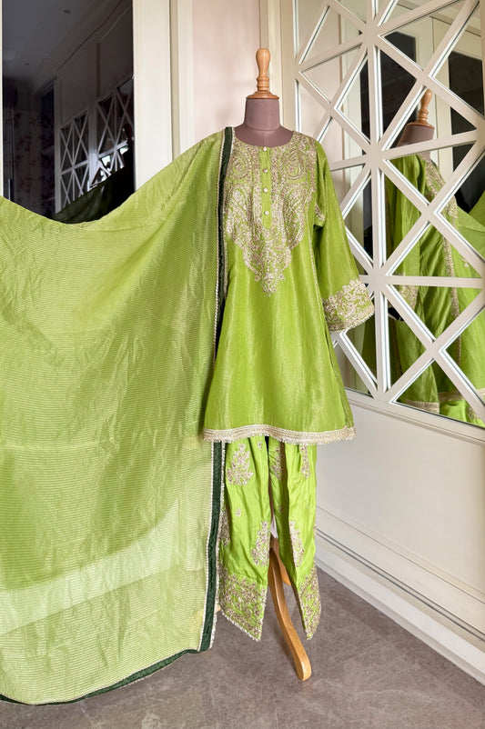 Meadow Glow – Organza Embroidered Set